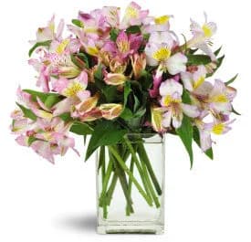 Lovely Lilies