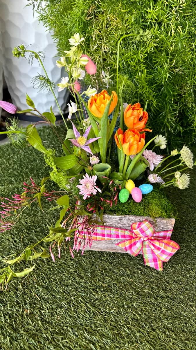 Spring Has Sprung